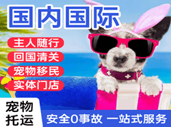 富蕴可可托海机场快运国际宠物托运 【国